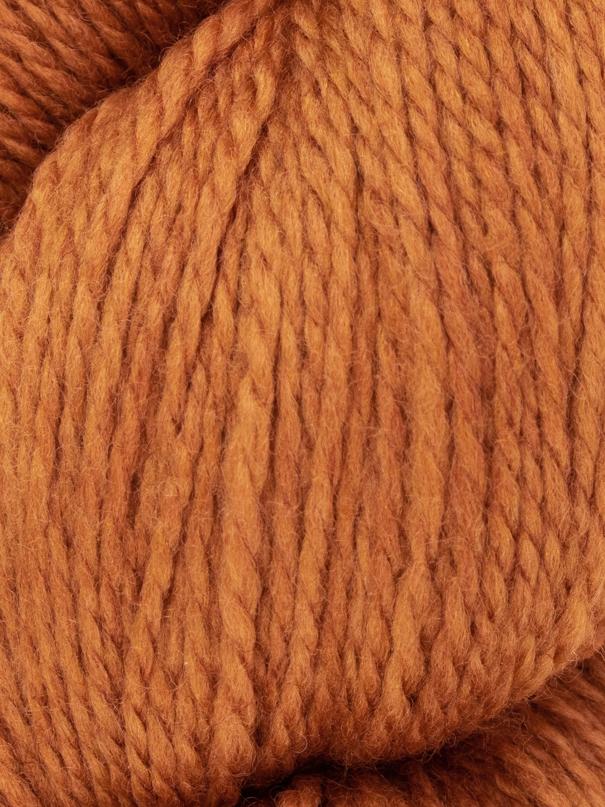 West Yorkshire Spinners Exquisite 4 Ply Yarn Ivy 1130 100g