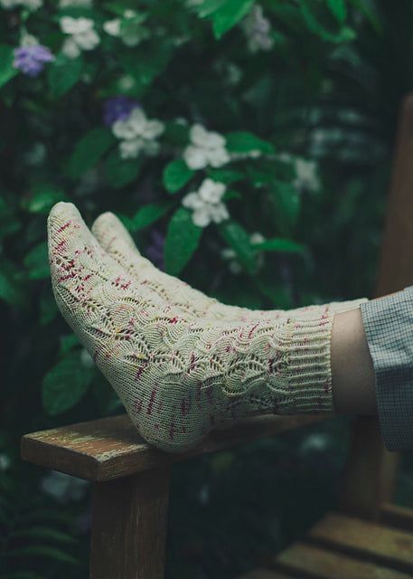 Amirisu Assemblage Vol 1