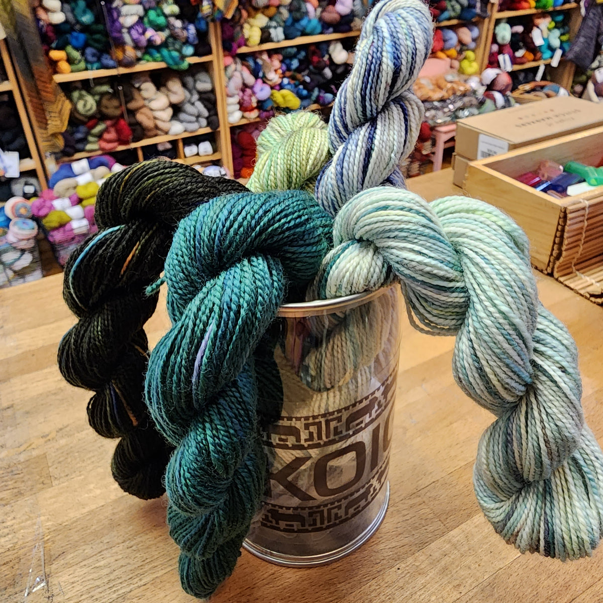 Koigu Paint Cans - Knitty City