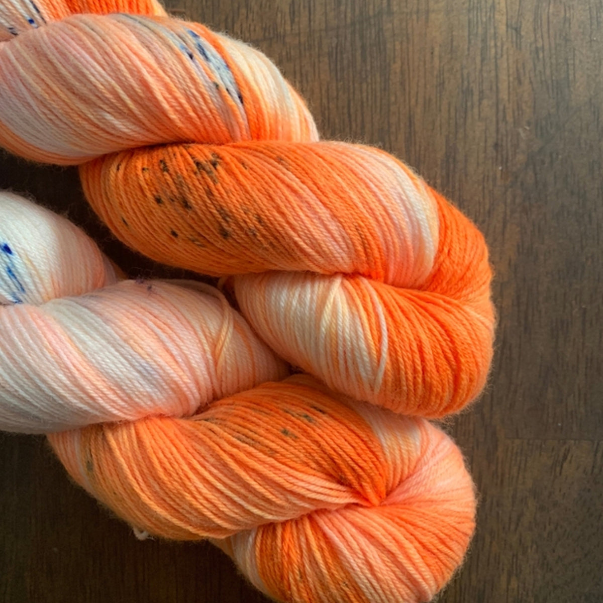 Black Cat Fibers Nomad Sock