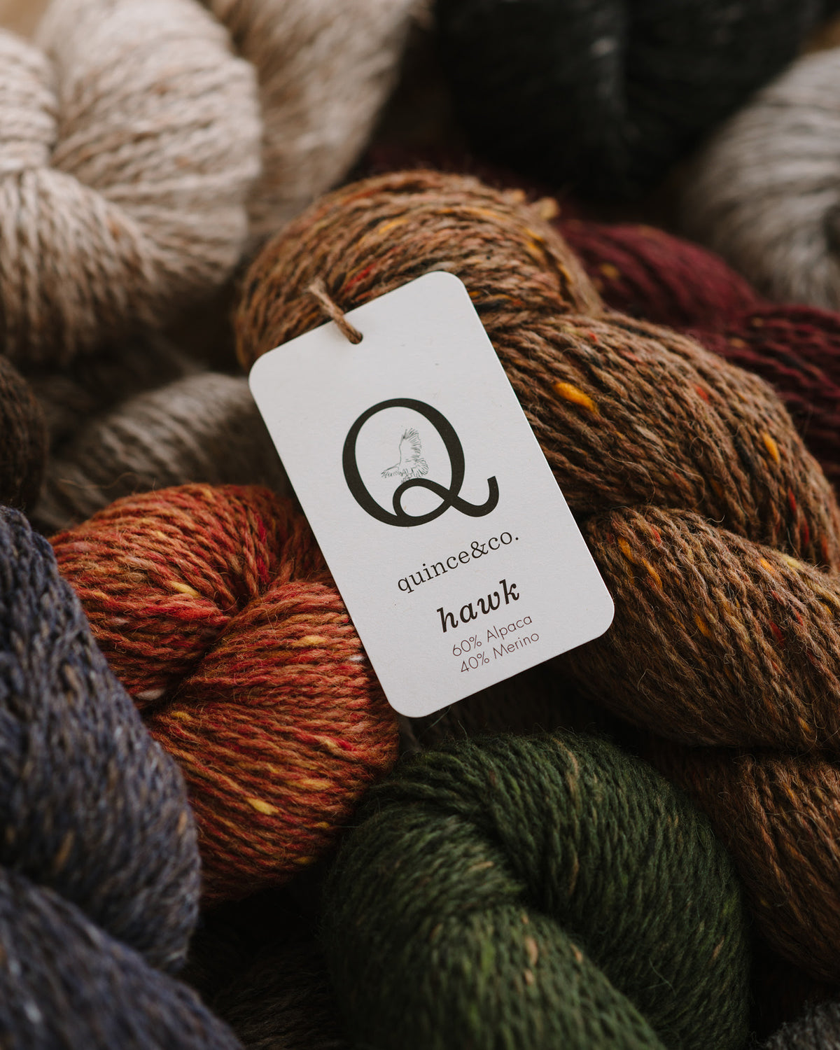 Quince &amp; Co Hawk