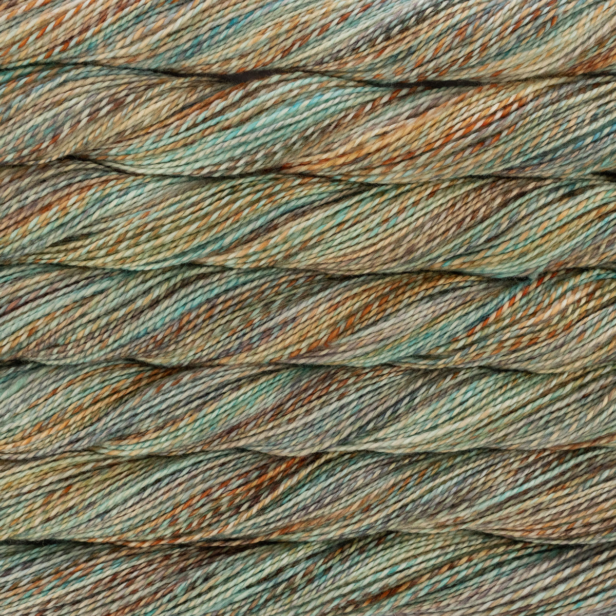 Malabrigo Torzal